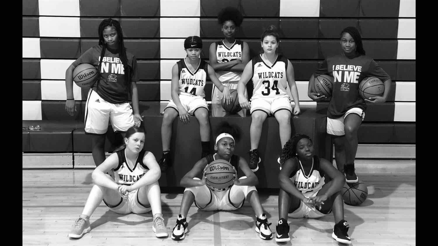 Lady Wildcat Team
